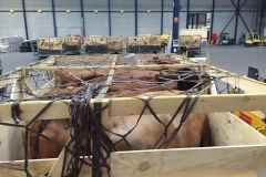 img-20160316-wa0004_365