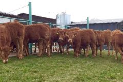 img-20170322-wa0002_381