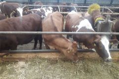 img-20180216-wa0004_1_397