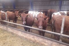 img-20180216-wa0005_1_405