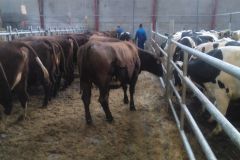 img_20160126_105422_325