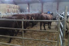 img_20160126_105435_329