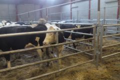 img_20160126_105447_333