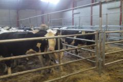 img_20160126_105448_337