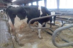 img_20160317_103644_341