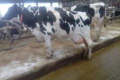 img_20160317_103752_349