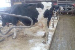 img_20160317_104328_353