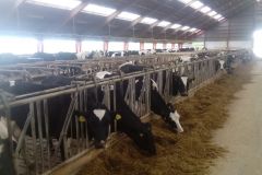 img_20160613_165614_361